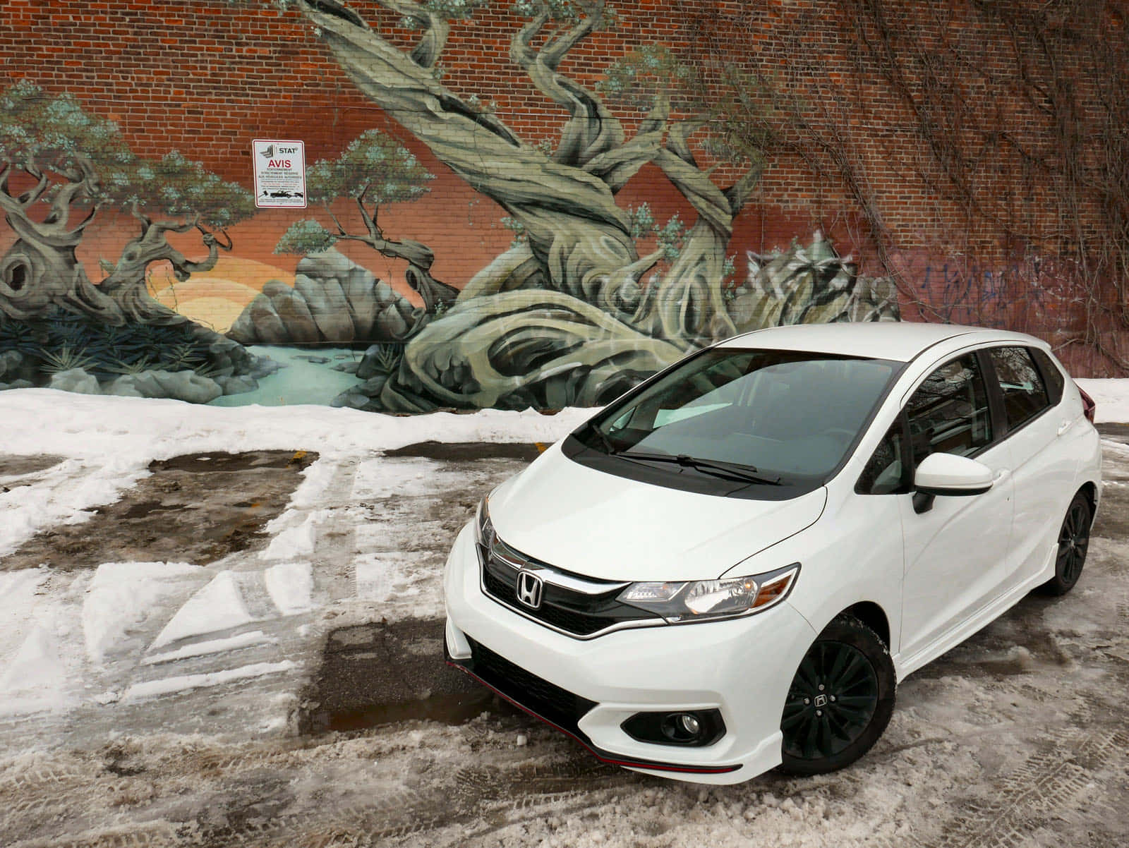 Honda Fit 桌布 壁紙 — 一輛白色本田Fit停放在雪地上，前面是一幅磚牆壁畫，描繪了盤根錯節的樹木和寧靜的風景。