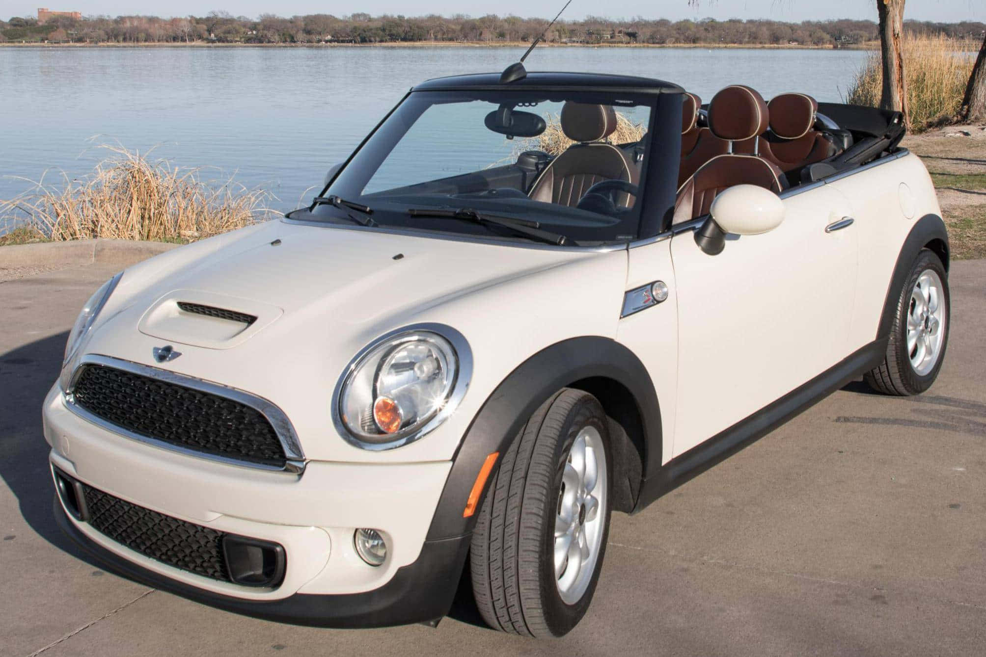 Mini Cooper Convertible 桌布 壁紙 — 一輛白色MINI Cooper敞篷車停泊在平靜的湖邊，湖邊有棕色蘆葦和遠處的樹木，在明亮的日光下。