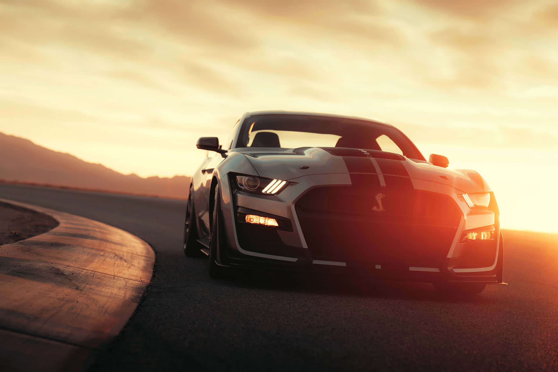  壁紙 — 一輛帶有黑色條紋的白色Shelby GT500在沙漠賽道上於日落時分疾馳，金色光芒灑在其流線型車身上。
