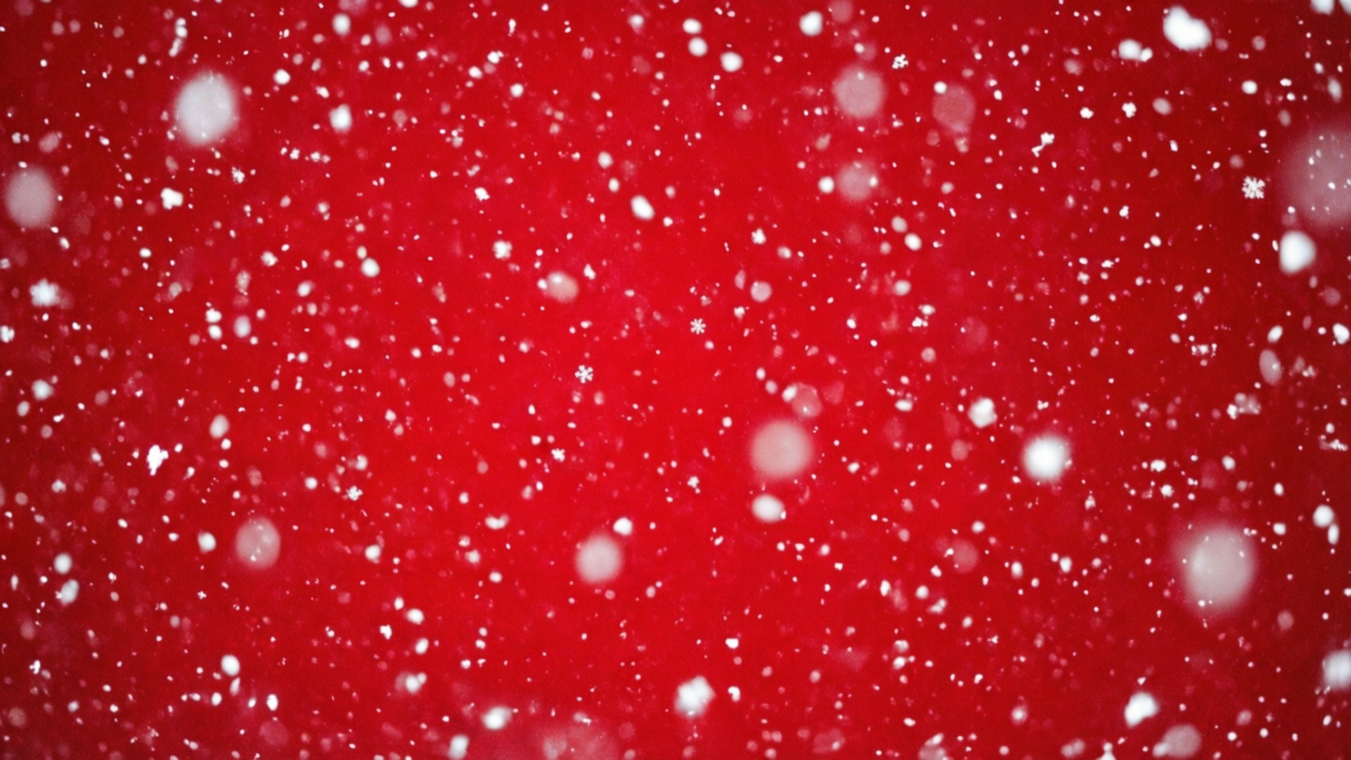 Snow Globe Red 壁紙 — 白色雪花在鮮豔的紅色背景上輕輕飄落，營造出節日的冬季場景。