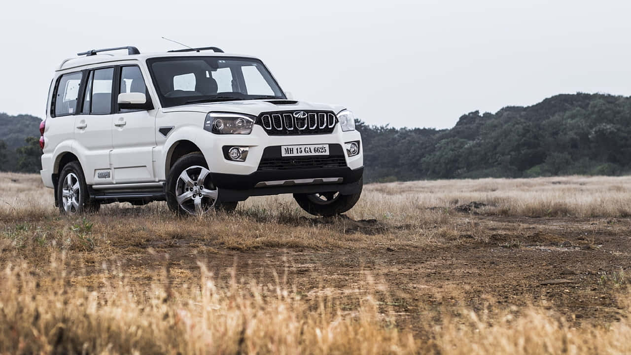 Mahindra Bolero 桌布 壁紙 — 一輛白色SUV停在乾草上，背景是陰天下的森林山丘。