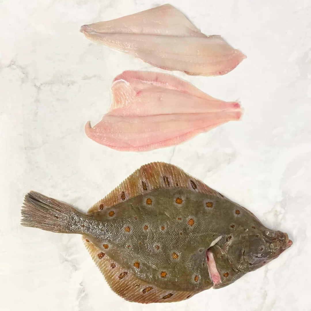  壁紙 — 整條比目魚，帶有斑點棕色魚皮，兩塊淡粉紅色魚片排列在白色大理石表面上。