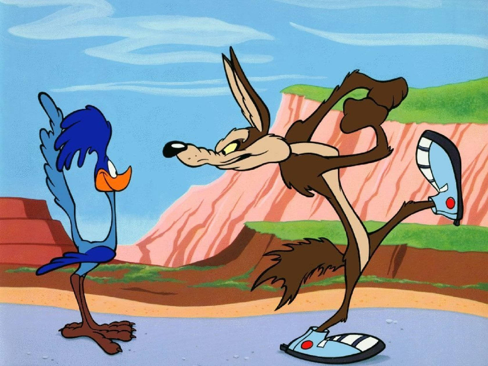 Coyote 桌布 壁紙 — Wile E. Coyote 在沙漠峽谷中單腳平衡，面對一隻藍色走鵑。