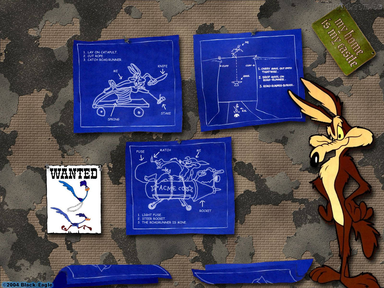Coyote 桌布 壁紙 — Wile E. Coyote 在迷彩背景上站在藍圖和 Road Runner 的通緝海報旁邊。