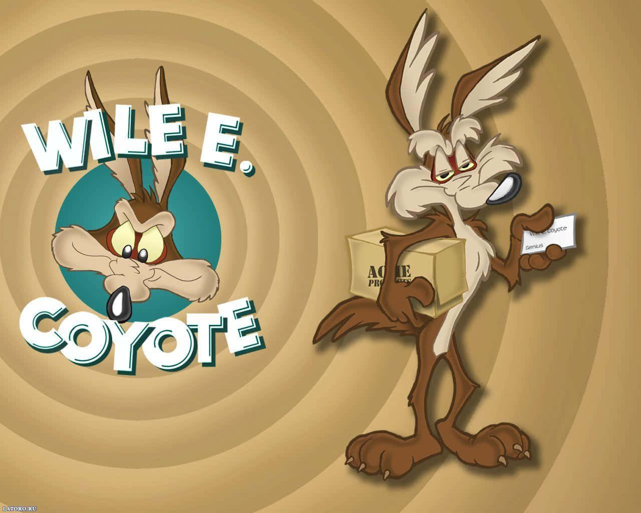樂一通 桌布 壁紙 — Wile E. Coyote 站在旋轉的米色背景前，拿著一個盒子和一張紙條，他的臉在一個圓形標誌中。