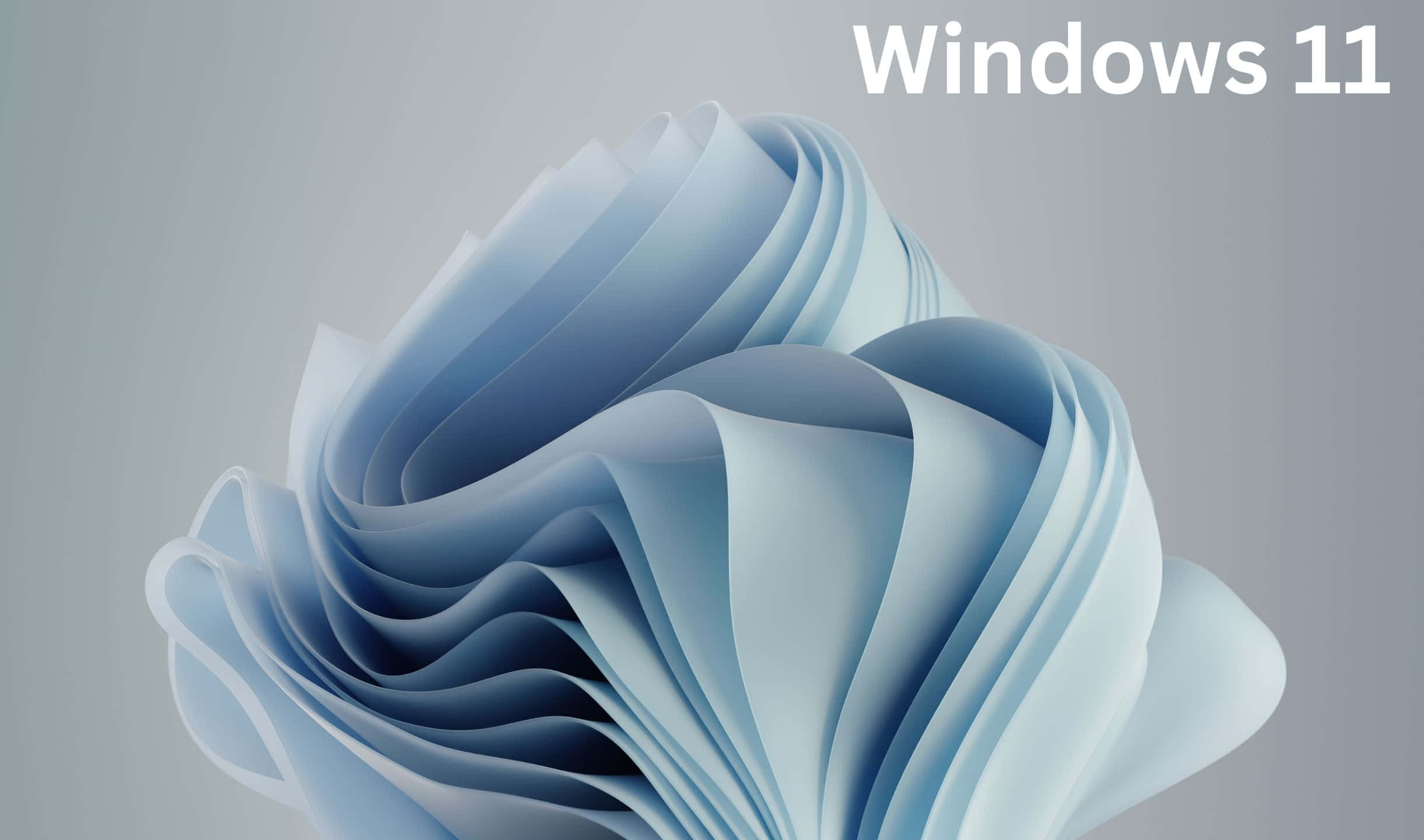Windows 11 背景 — Windows 11 壁紙