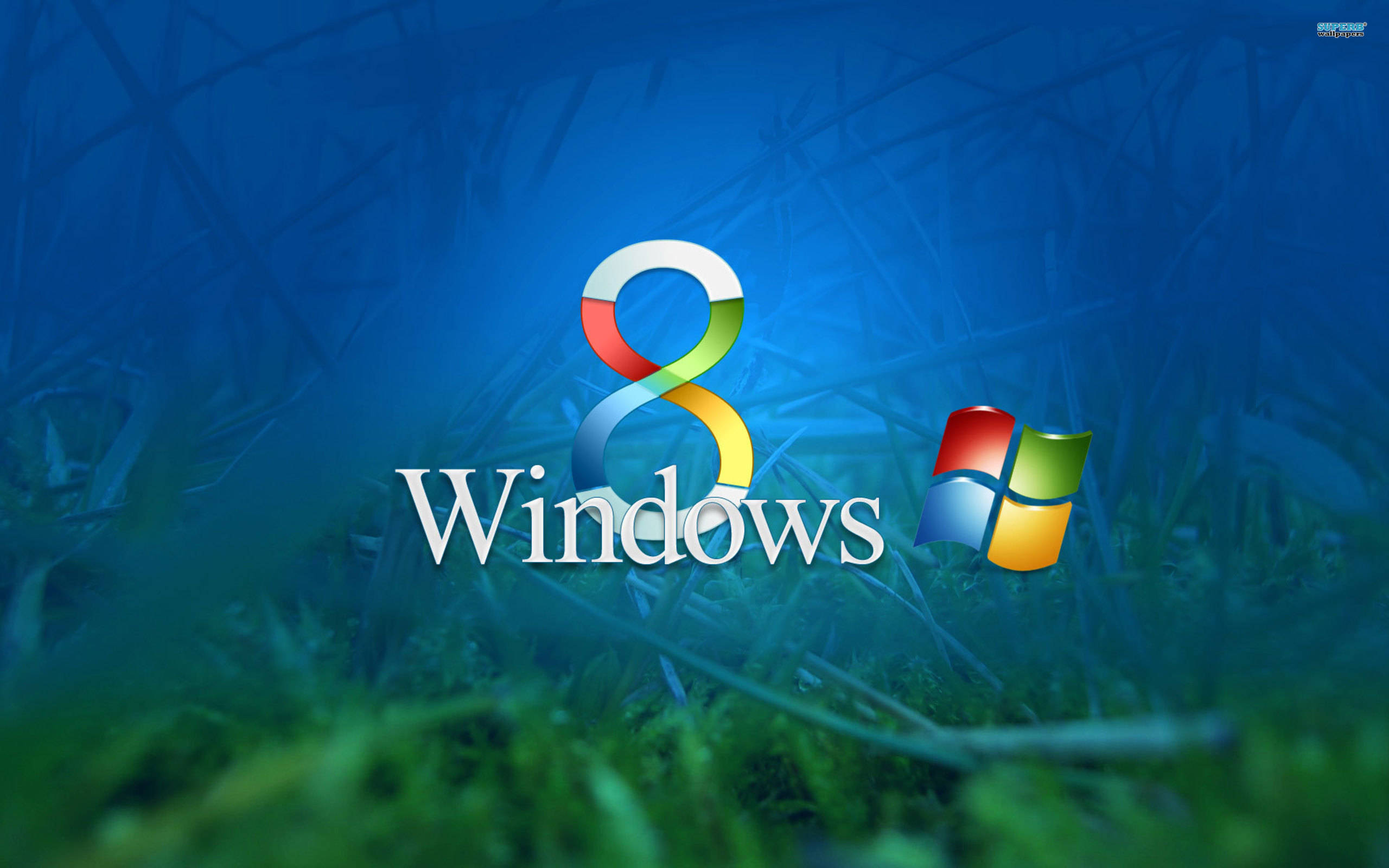 Windows 桌布 壁紙 — Windows 8 標誌，採用彩色絲帶設計和經典 Windows 圖標，背景為藍色燈光下的模糊草地。