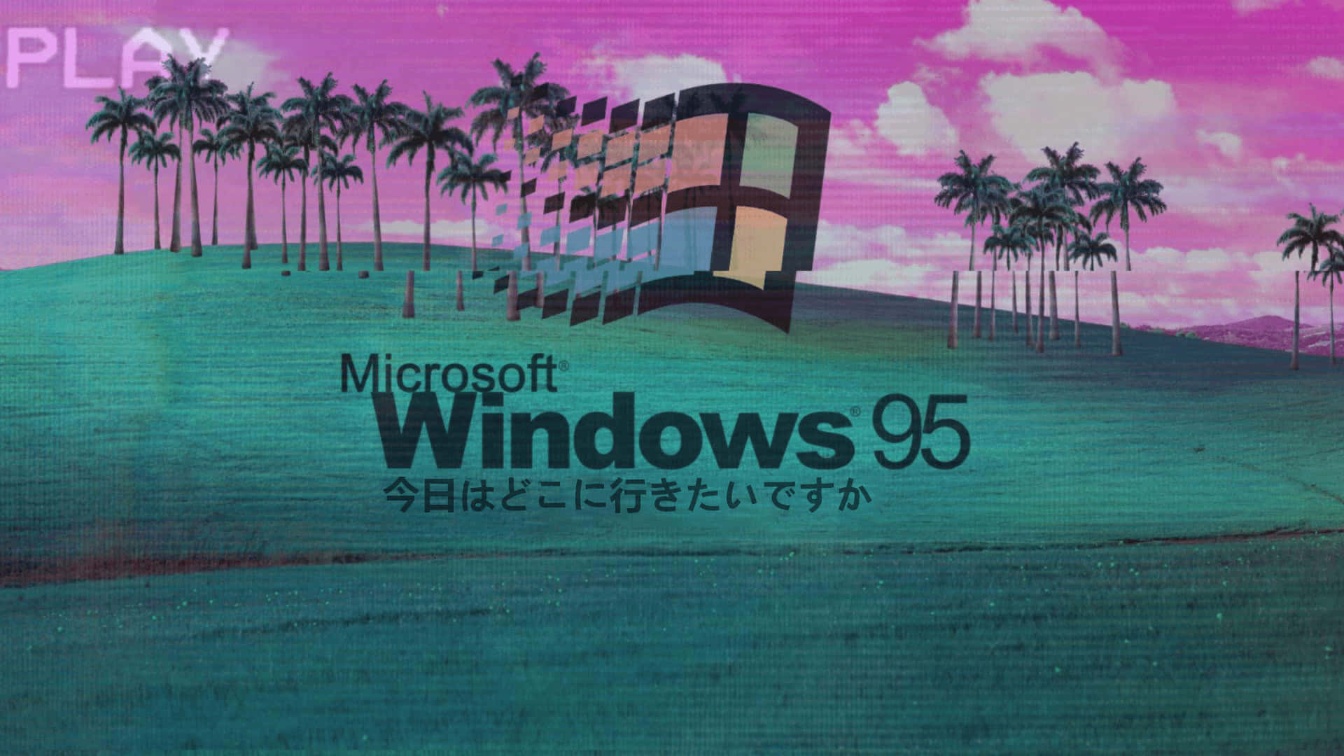 Windows 95 標誌配棕櫚樹