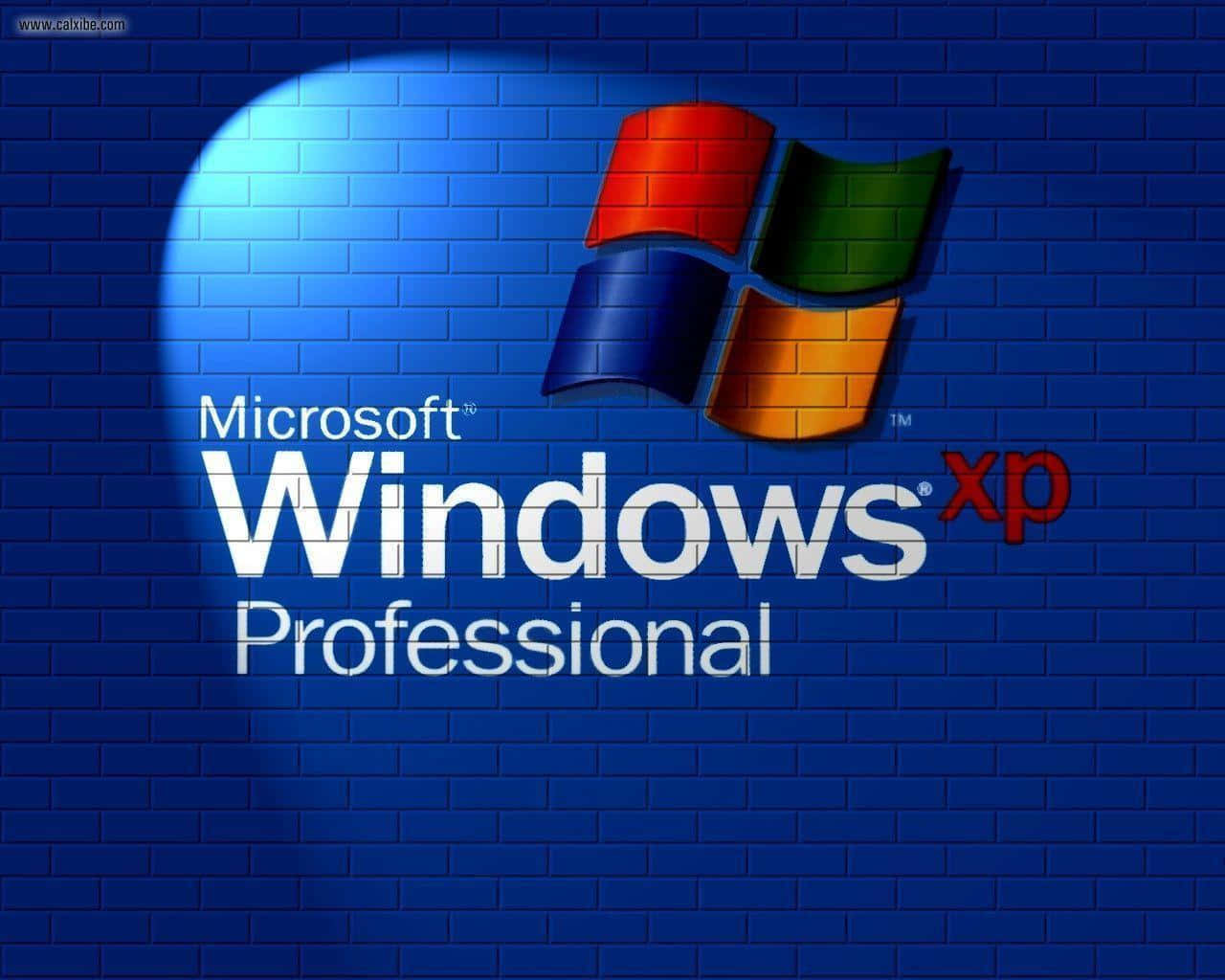  壁紙 — Windows XP Professional 標誌在紋理藍色磚牆上被聚光燈照亮。