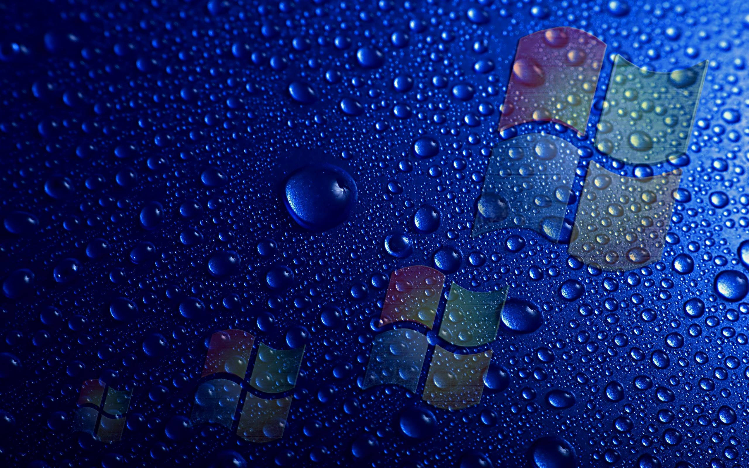 Windows 10 高畫質 桌布 壁紙 — Windows 標誌反射在光滑藍色表面上的雨滴中，帶有閃爍的光折射。