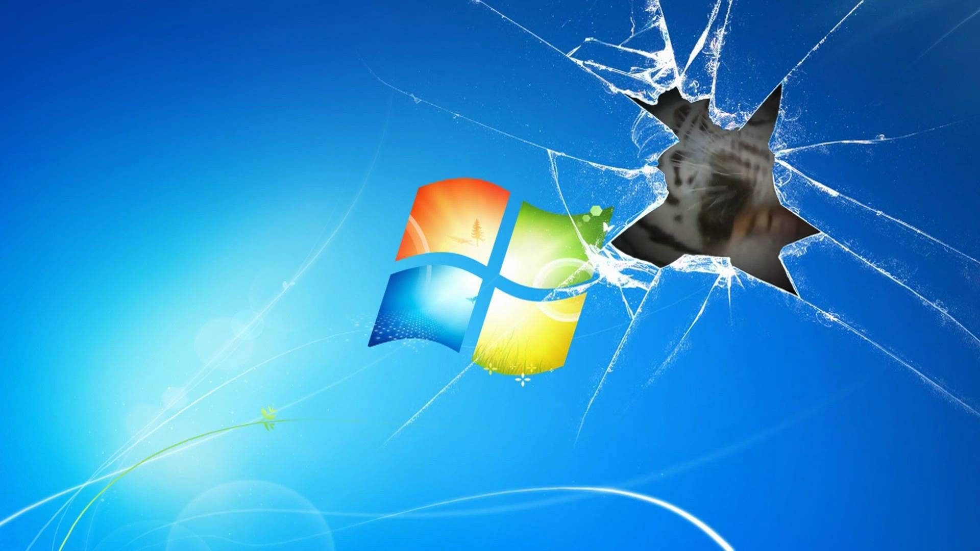 Animated 桌布 壁紙 — Windows 標誌穿過裂紋玻璃，在明亮的藍色漸變背景和光線條紋中閃耀。