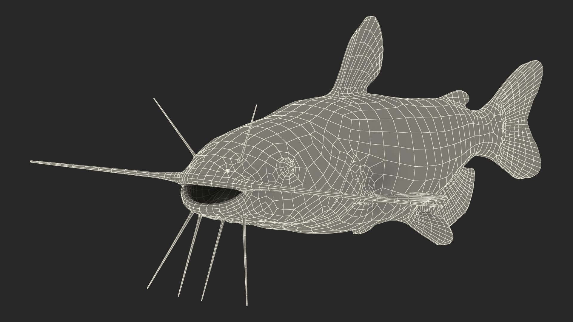  壁紙 — 一個線框3D模型，展示一條鯰魚，帶有突出的觸鬚和魚鰭，背景為深色。