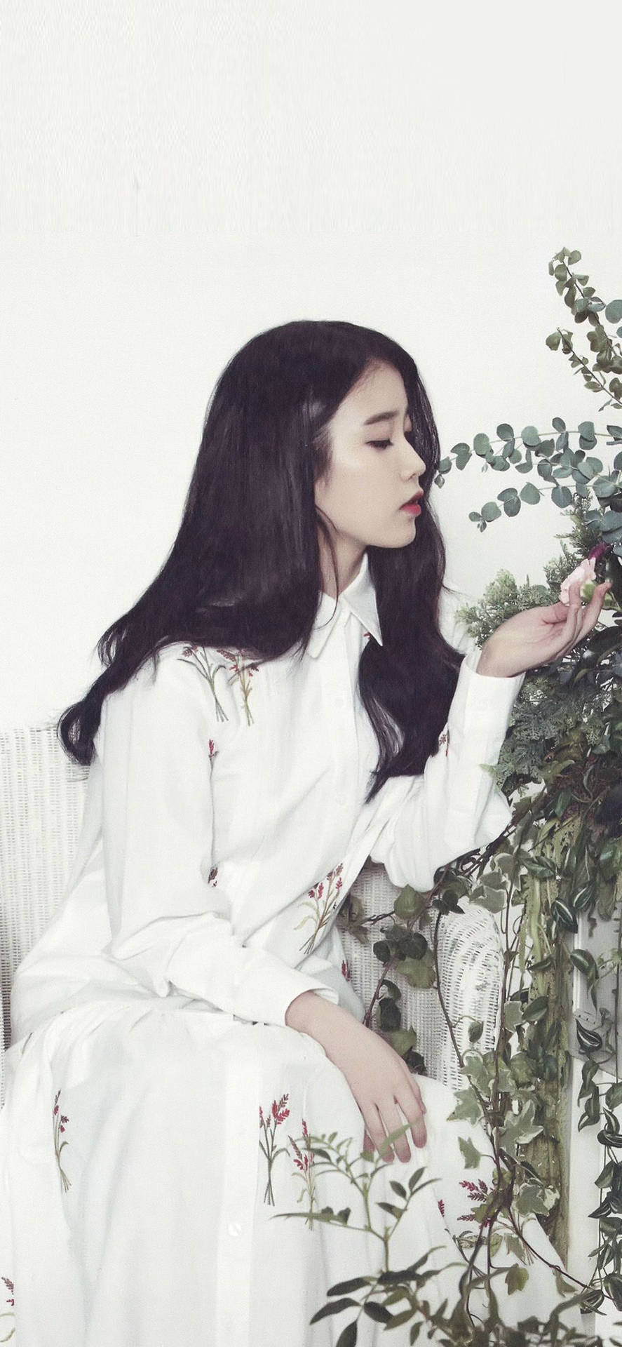 身穿白色花卉連衣裙的女性在室內觸摸綠色植物 — K Pop 壁紙