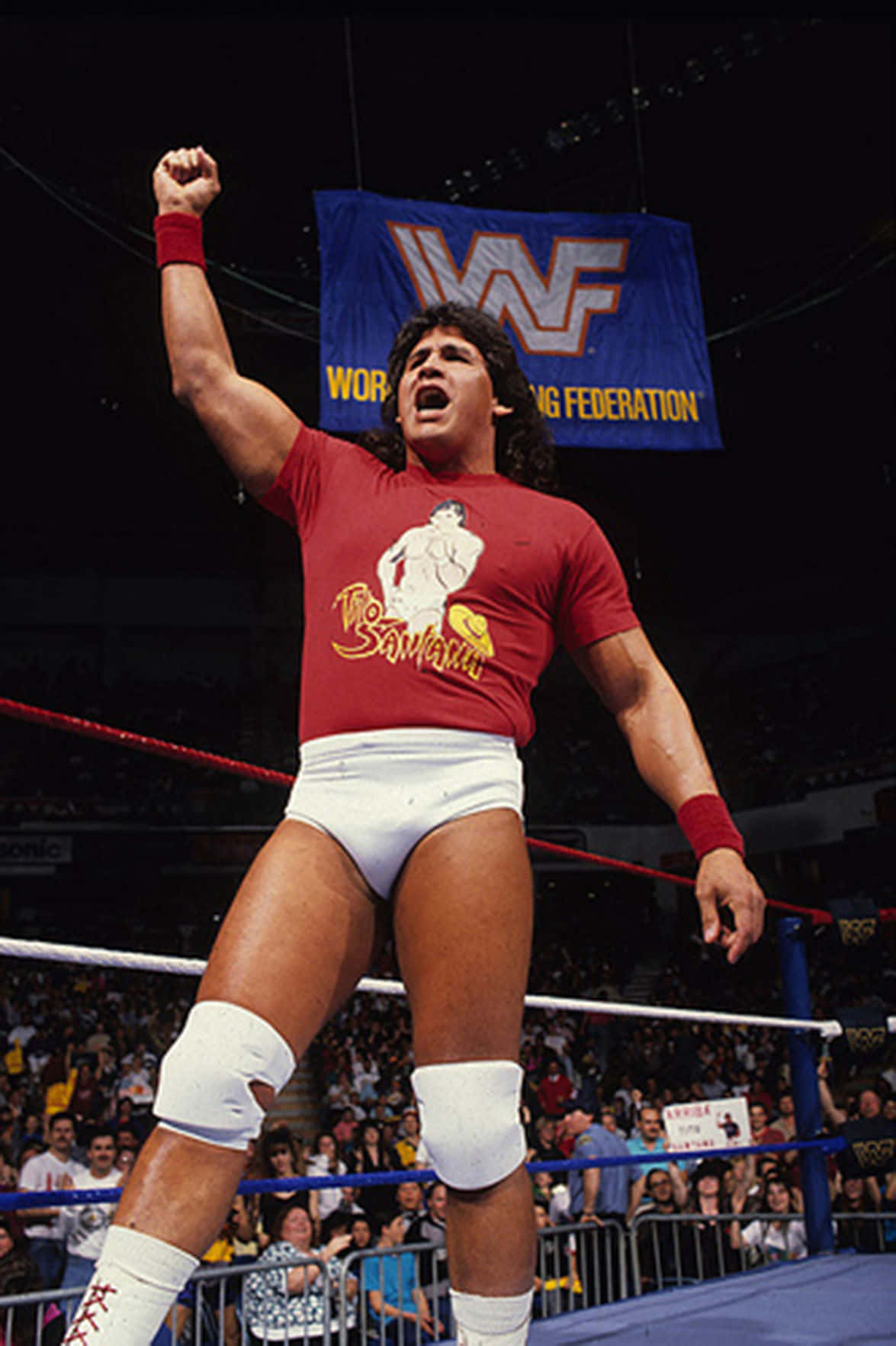 摔角 桌布 壁紙 — Wrestler The Samoan Savage 在WWF擂台上高舉拳頭，勝利咆哮，身後觀眾歡呼。
