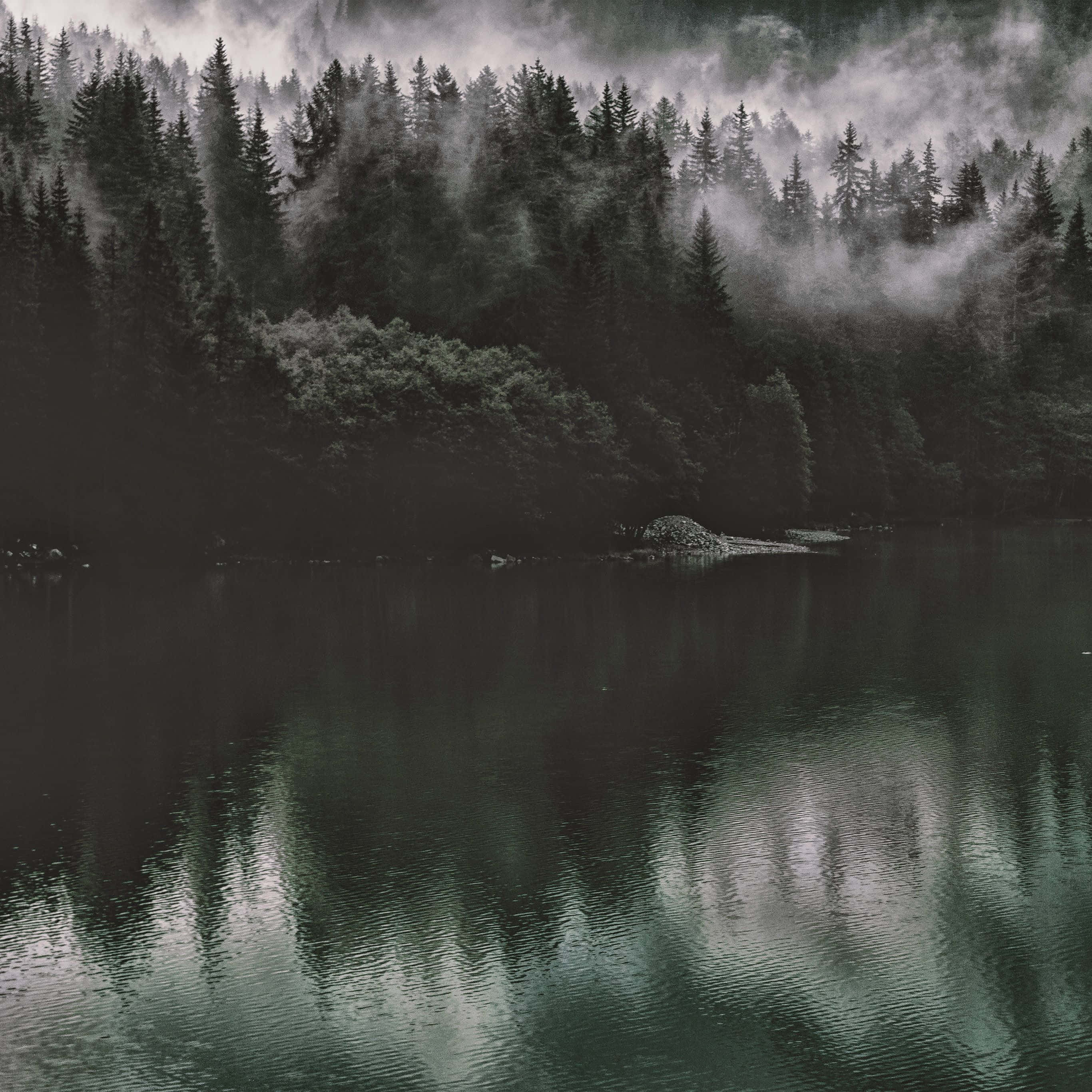 Dark Nature 桌布 壁紙 — 霧氣籠罩的森林山脈在陰天之下倒映在平靜的湖面上，帶有輕柔的漣漪。