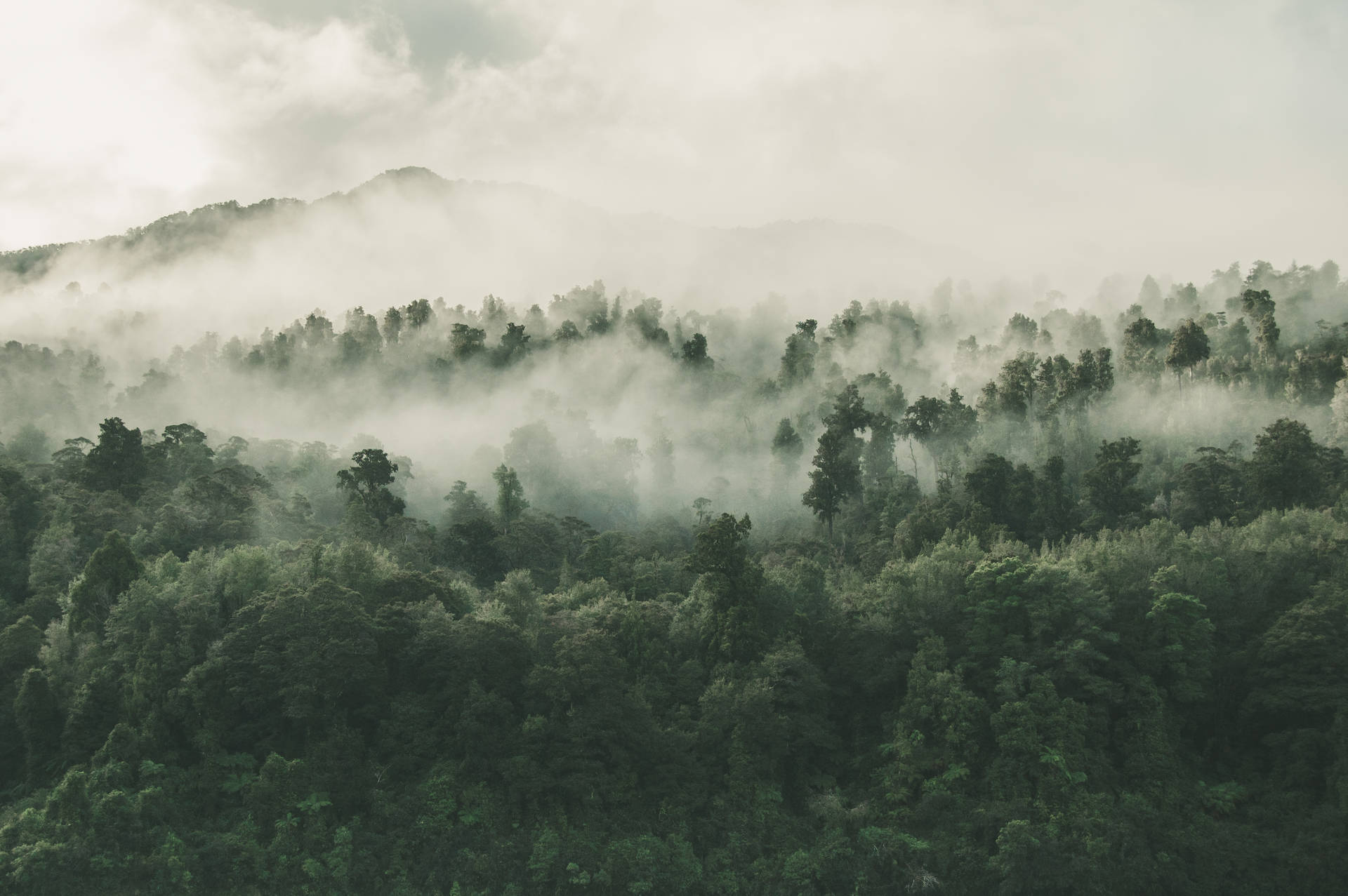 多雲天空下起伏山丘上的霧林 — 最終幻想XV 壁紙