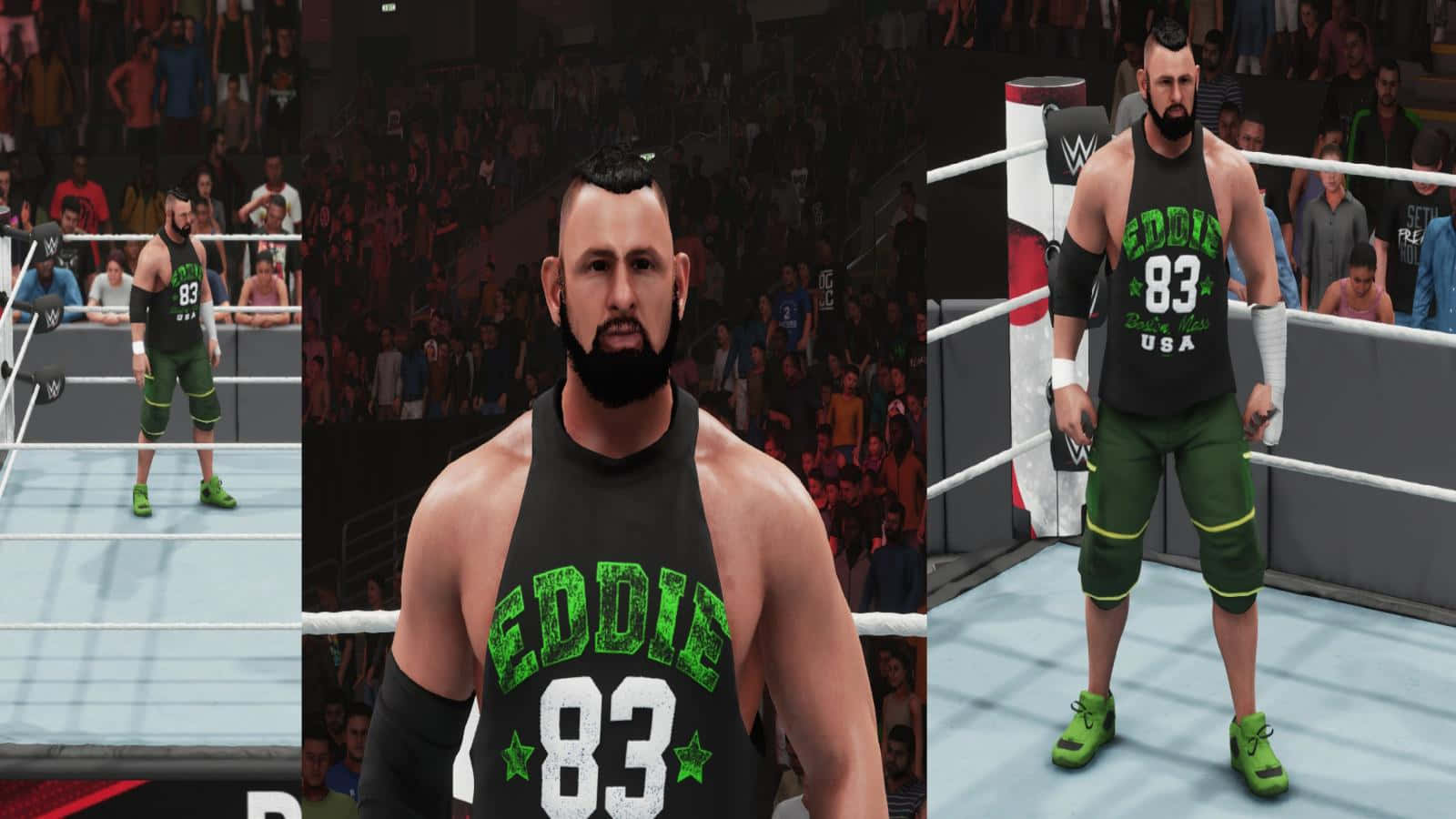 摔角 桌布 壁紙 — WWE 摔角手 Eddie 83 身穿綠色和黑色裝備，站在摔角擂台上，背景是歡呼的人群。