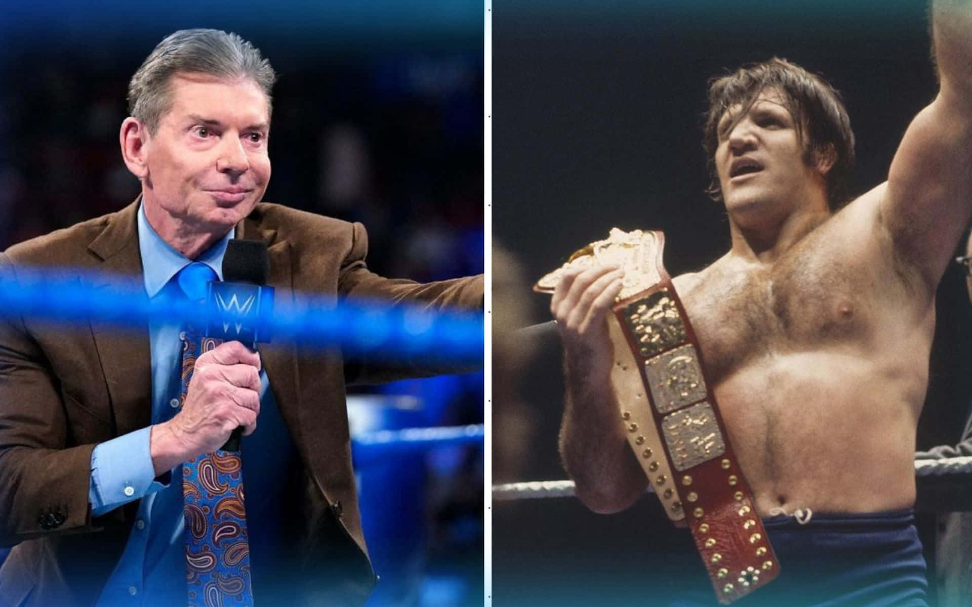 摔角 桌布 壁紙 — WWE 播報員 Vince McMahon 身穿西裝手持麥克風，與摔角手 Bret Hart 赤裸上身手持冠軍腰帶在擂台上的分割畫面。