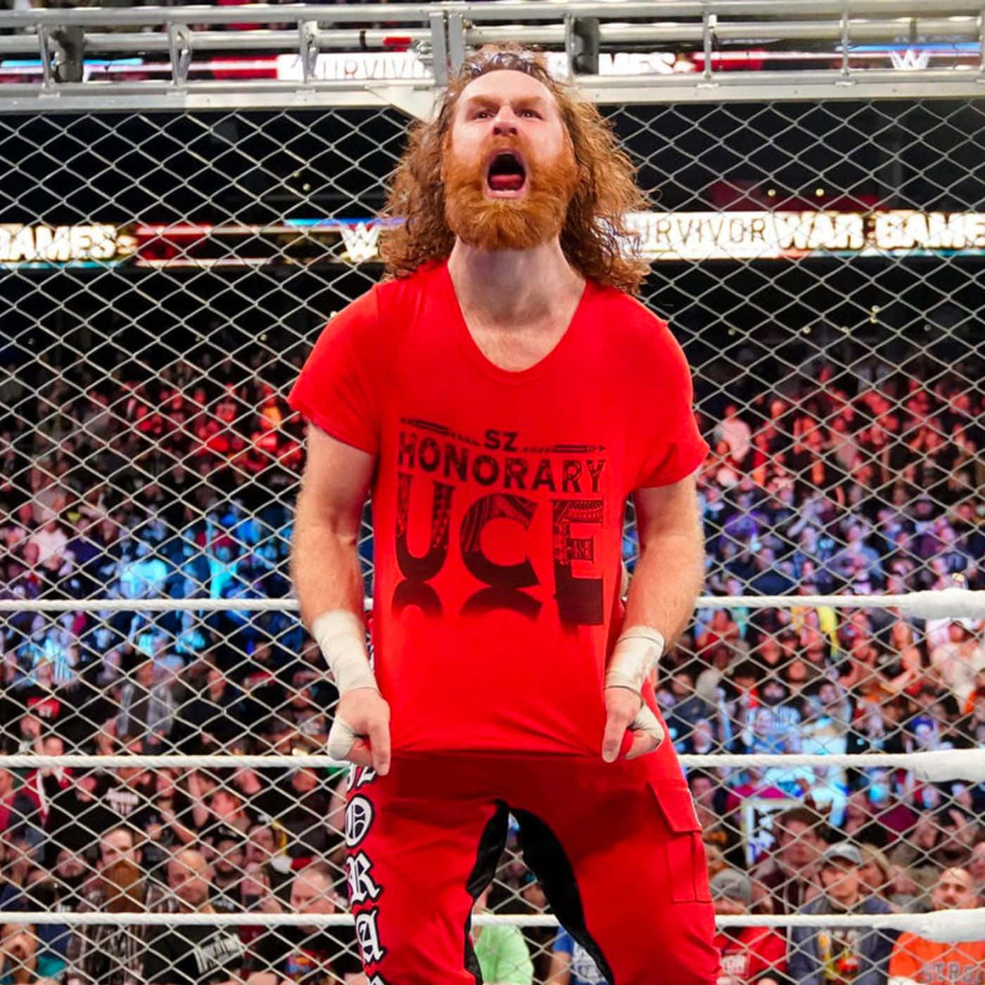 sami zayn 桌布 壁紙 — WWE摔角手留著紅色鬍鬚、身穿紅色服裝，在Survivor Series比賽期間於鋼籠內咆哮。
