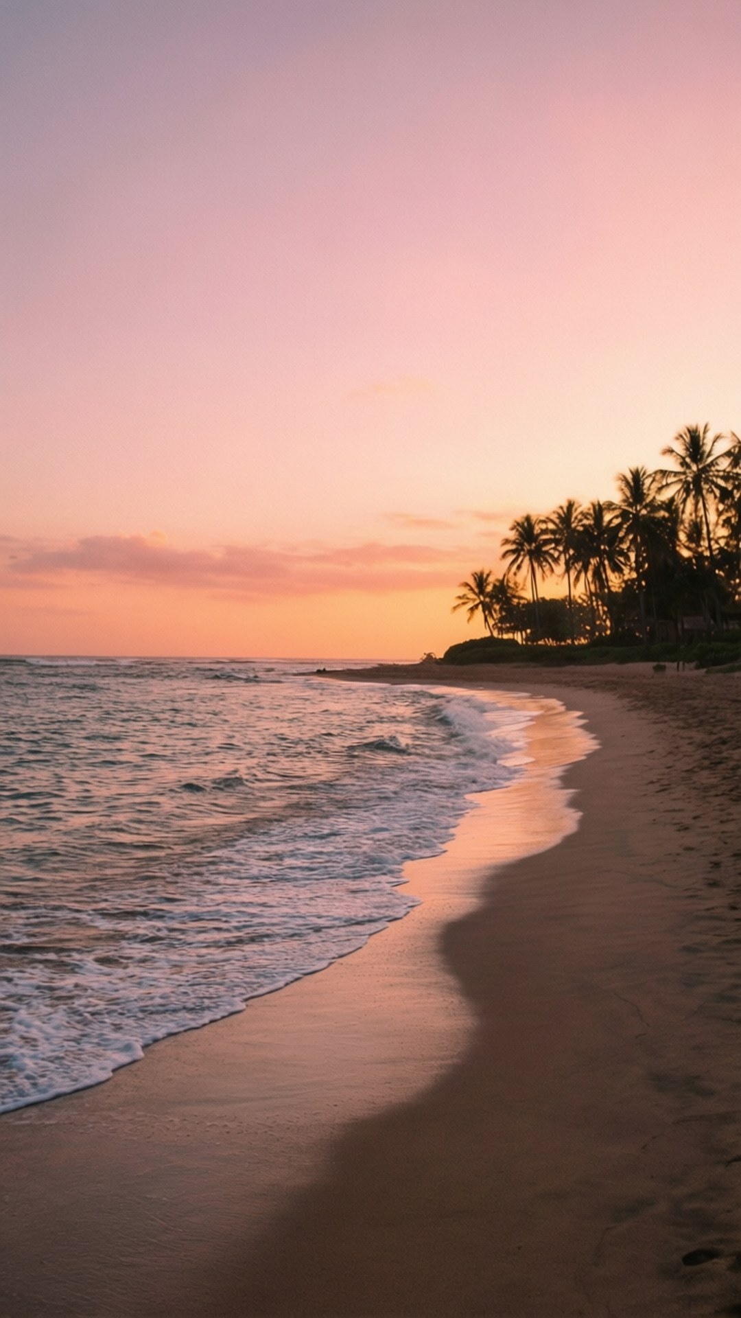 Palm Sunset Serenity 壁紙 — 夕陽將天空染成柔和的粉紅色和橙色，溫柔的海浪拍打著棕櫚樹成蔭的沙灘。