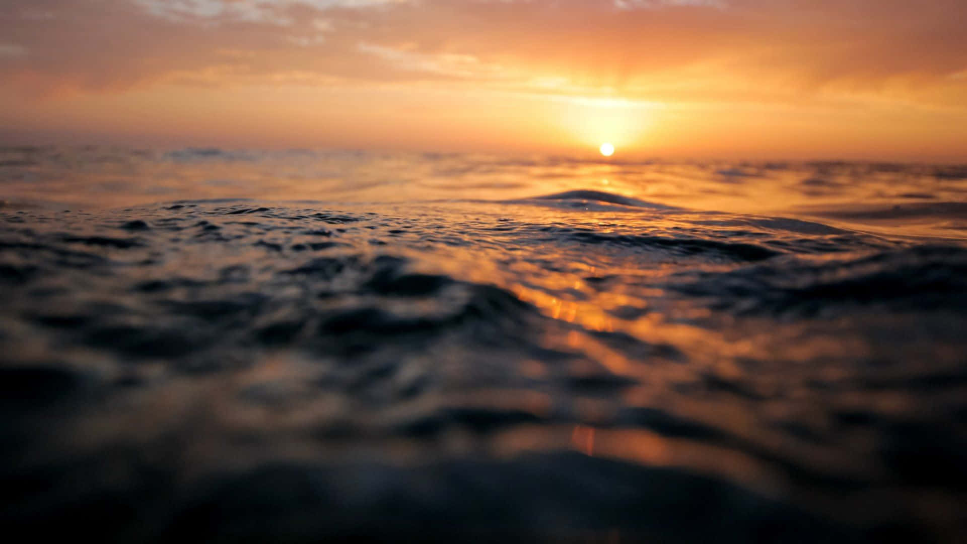 夕陽映照海洋，金色光線在漣漪的水面上反射。 — iPad 壁紙