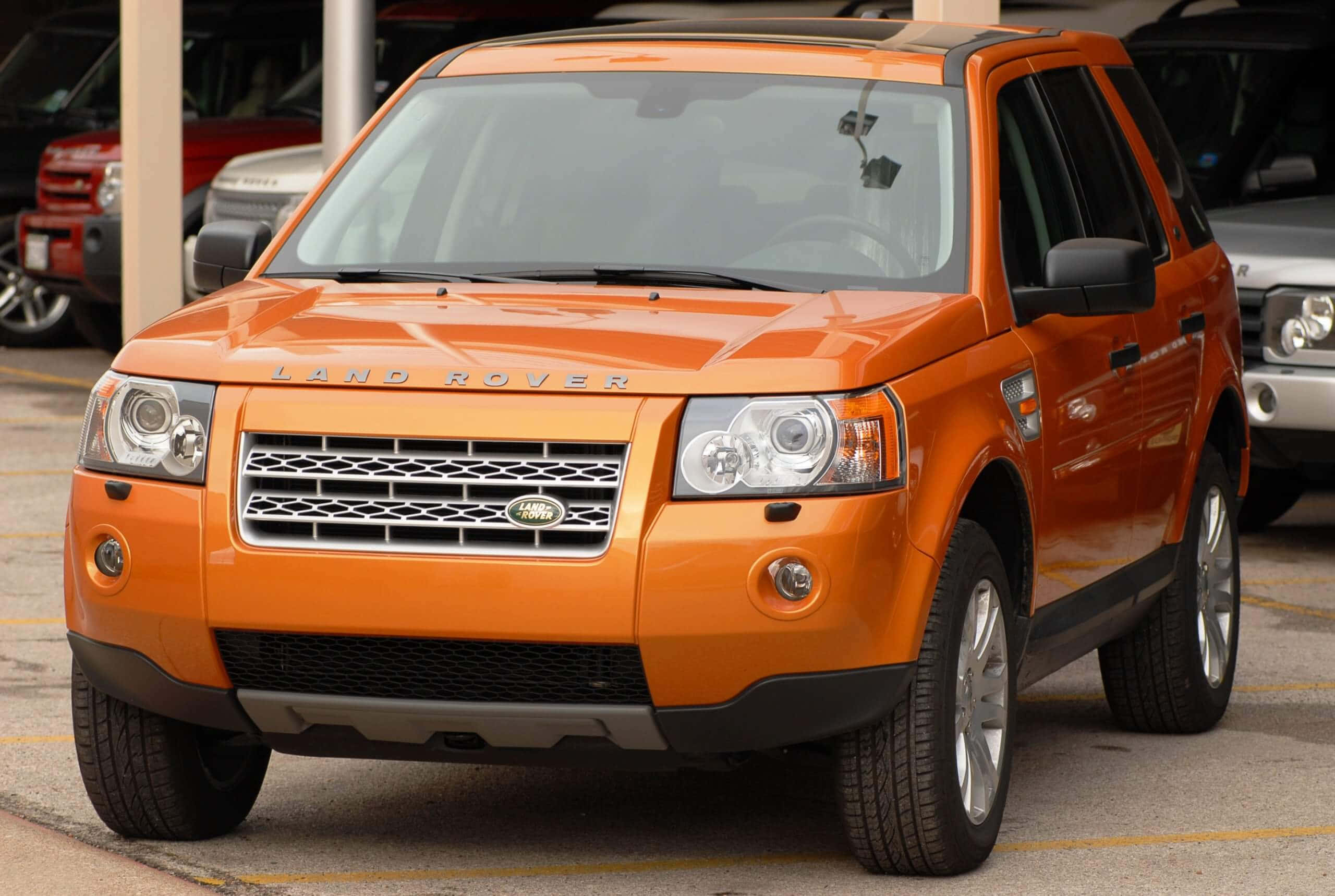 Land Rover Freelander 桌布 壁紙 — 一輛鮮橙色的 Land Rover Freelander 停放在停車場，背景可見其他車輛。