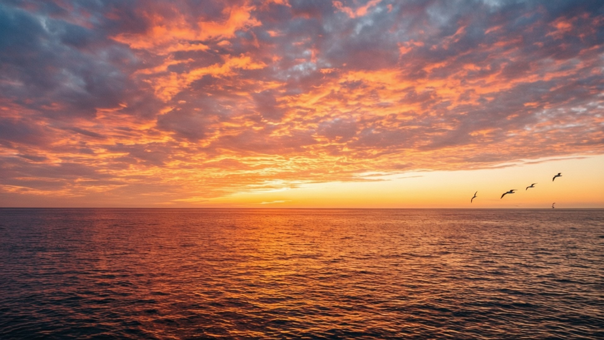 Sunset Ocean Sky 壁紙 — 鮮豔的橙色和粉紅色雲彩在平靜的海洋上空延伸，夕陽下五隻鳥排成隊形飛翔。