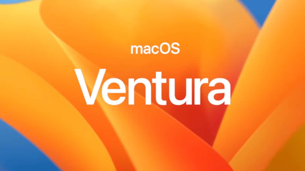  壁紙 — 鮮豔的橙色和藍色抽象波浪在粗體白色 macOS Ventura 文字後流動。