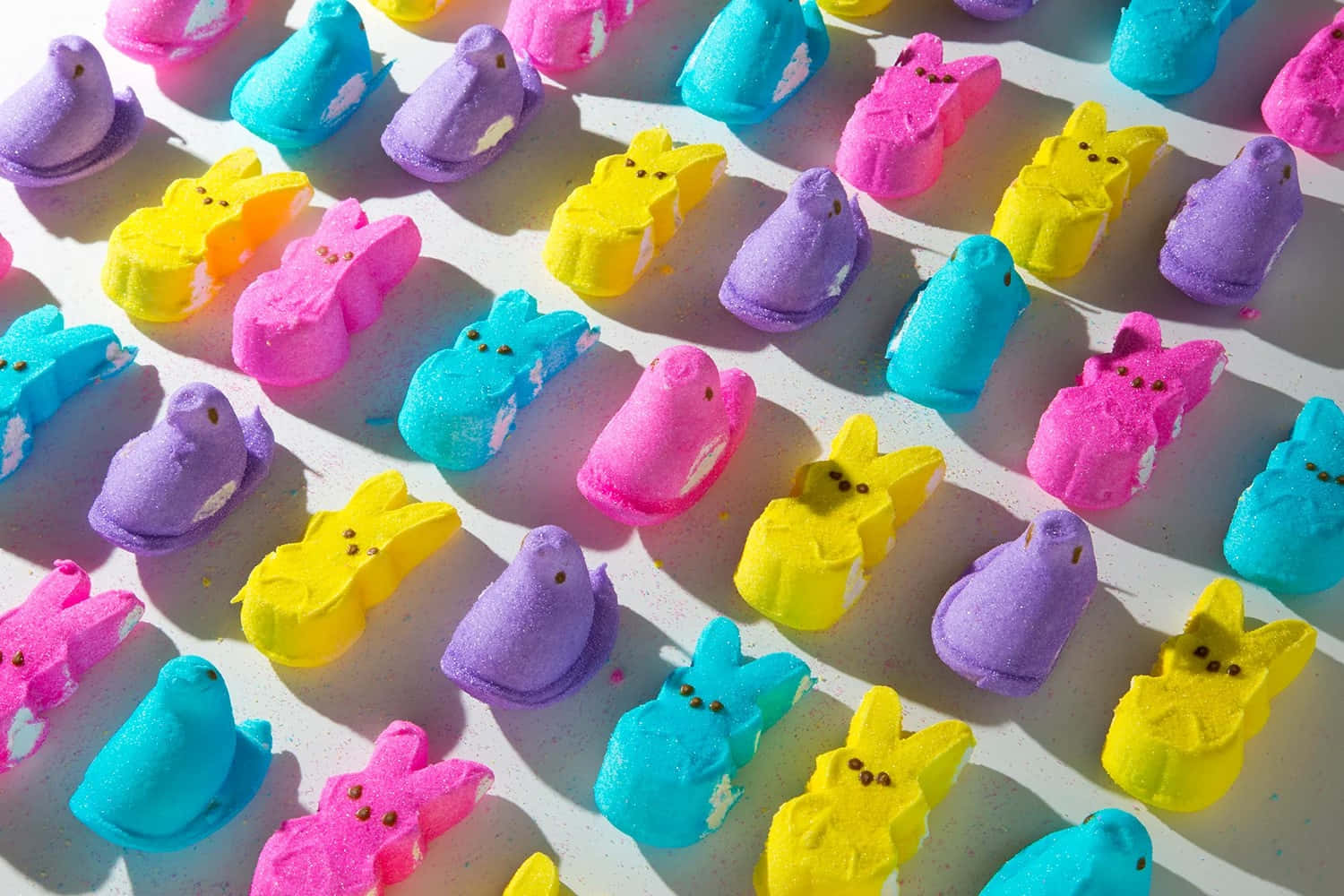 色彩繽紛的復活節棉花糖Peeps以兔子和雞仔形狀排列成行。 — Squishmallows 壁紙