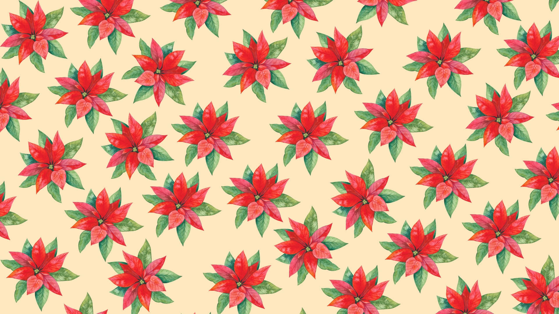  壁紙 — 鮮豔的紅色聖誕紅與綠色葉子在柔和的奶油色背景上以歡快的水彩圖案重複。