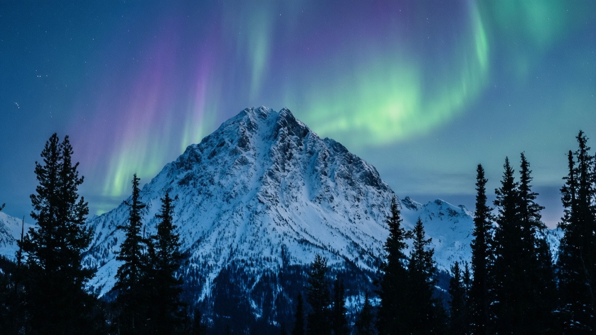Aurora Snowy Peak 壁紙 — 鮮豔的綠色和紫色極光在白雪覆蓋的山峰上空舞動，周圍是黑暗的松樹，背景是繁星點點的夜空。