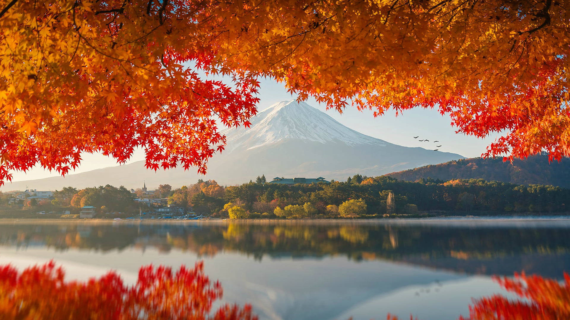 秋葉環繞著映照日本富士山的湖泊。 — 富士山 壁紙