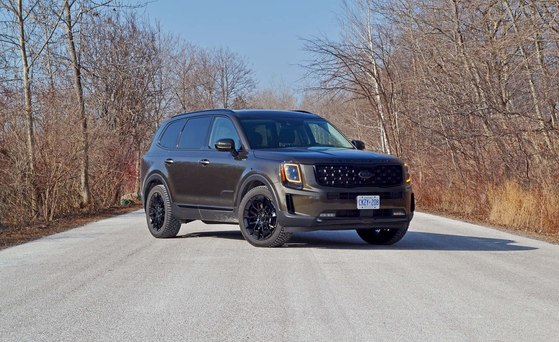 Kia Telluride 桌布 壁紙 — 一輛消光黑色的起亞Telluride SUV在晴朗的藍天下，沿著一條兩旁種滿冬季光禿樹木的寧靜鄉村道路行駛。