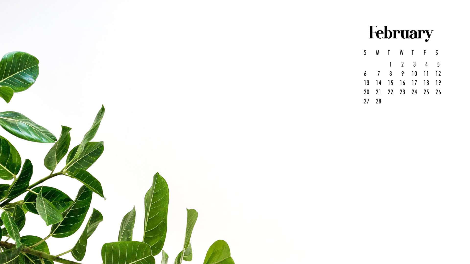  壁紙 — 新鮮的綠葉在潔白的背景上框出一個極簡的二月日曆。