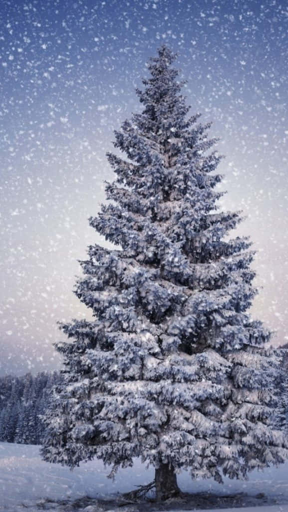  壁紙 — 一棵雄偉的雪松高聳在暮色天空下，溫柔的雪花飄落在寧靜的冬日仙境中。
