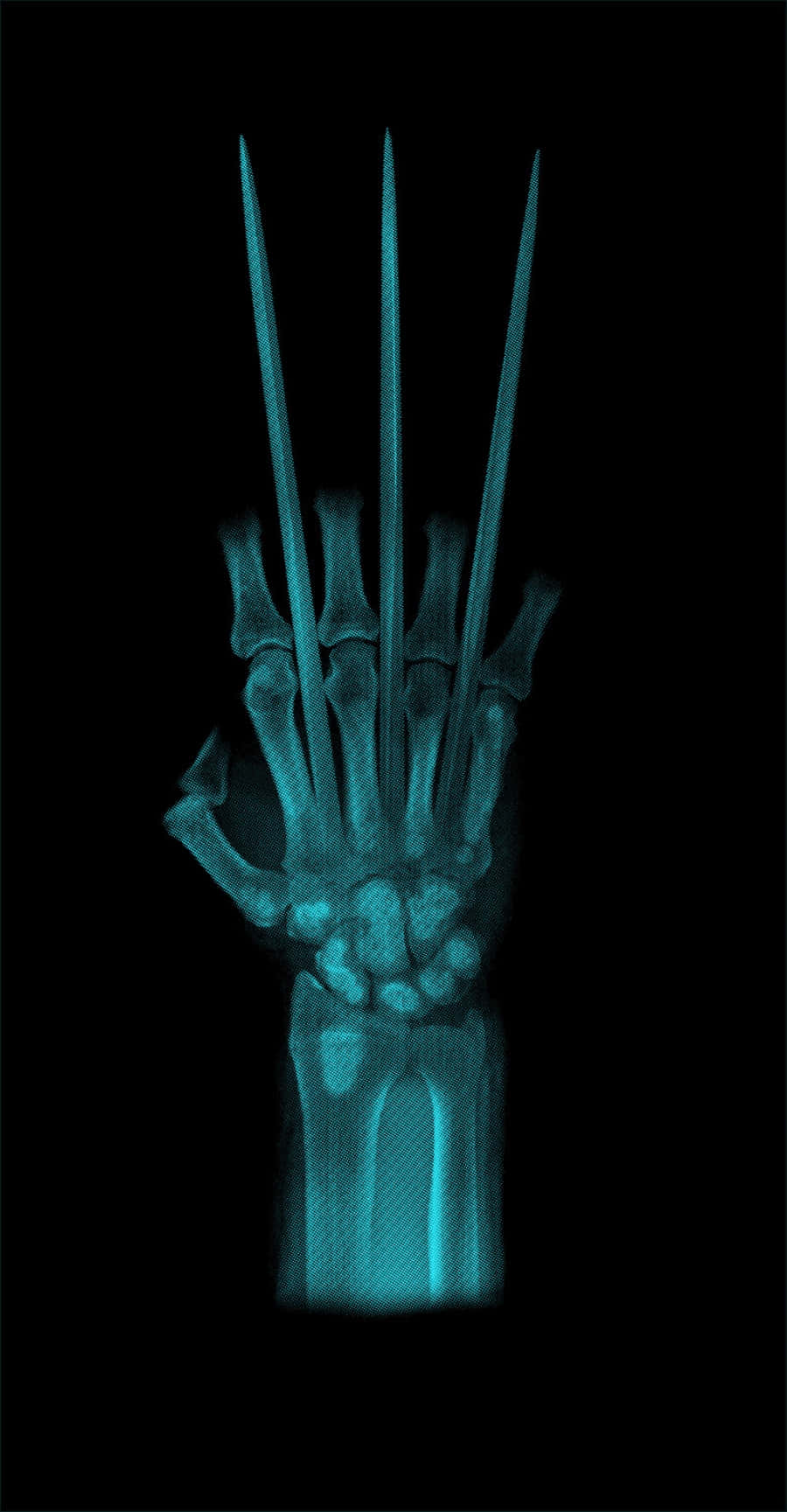 Adamantium 桌布 壁紙 — X光視圖顯示一隻手，從食指、中指和無名指伸出三根細長的骨爪，背景為黑色。