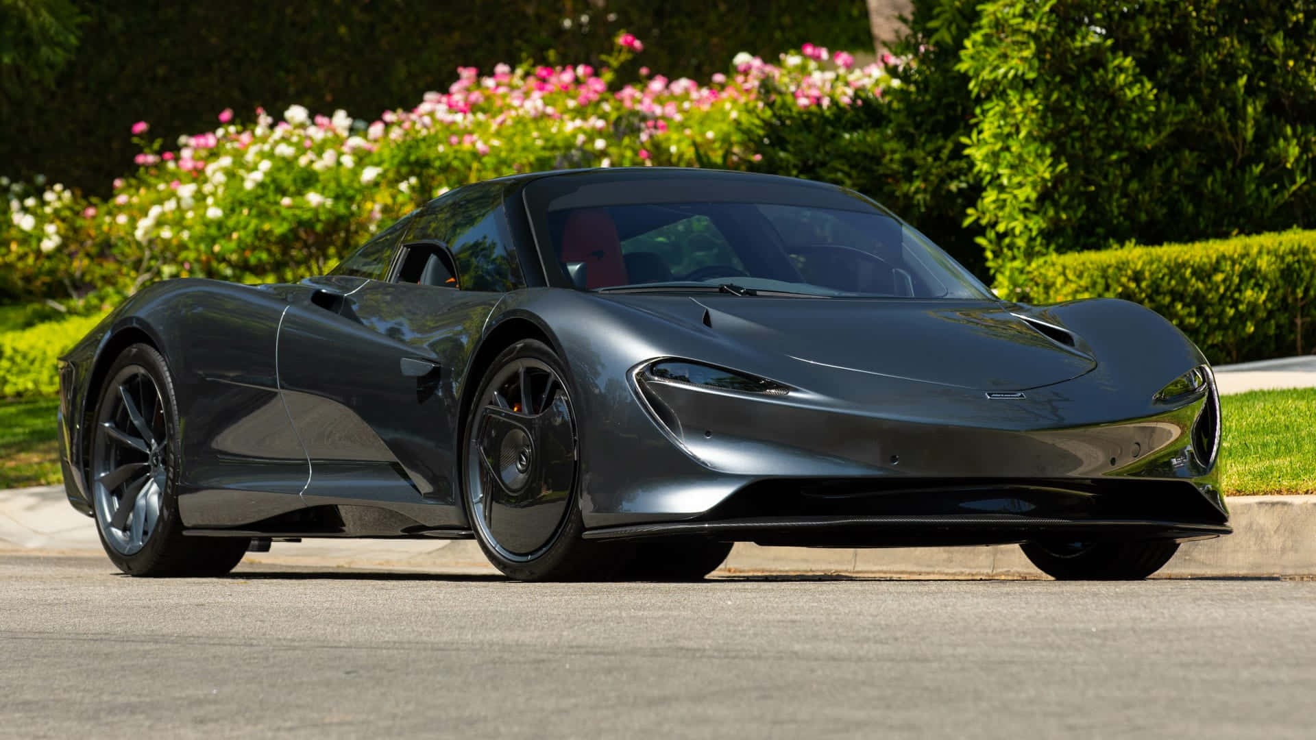 Mclaren Speedtail 桌布 壁紙 — 一架時尚的啞光灰色McLaren Speedtail跑車停放在鋪砌的道路上，後面有鮮豔的粉紅色和白色開花灌木。