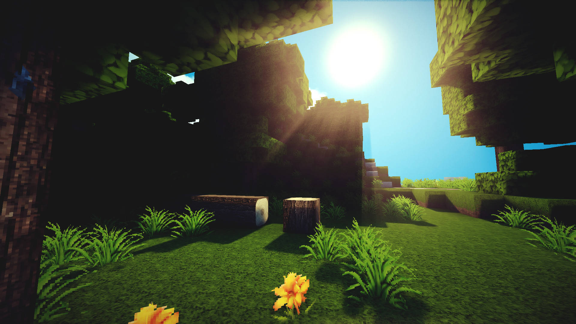 一個Minecraft森林空地，有陽光照射的草地和一朵黃花。 — 可愛的 Minecraft 壁紙