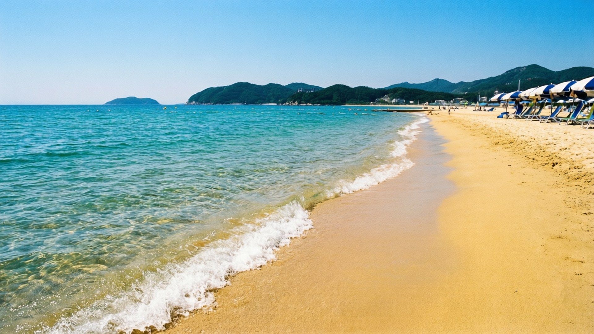 Songjeong Beach Summer 壁紙 — 陽光普照的碧綠海浪輕輕拍打金色沙灘，旁邊排列著藍白相間的遮陽傘，天空湛藍清澈。