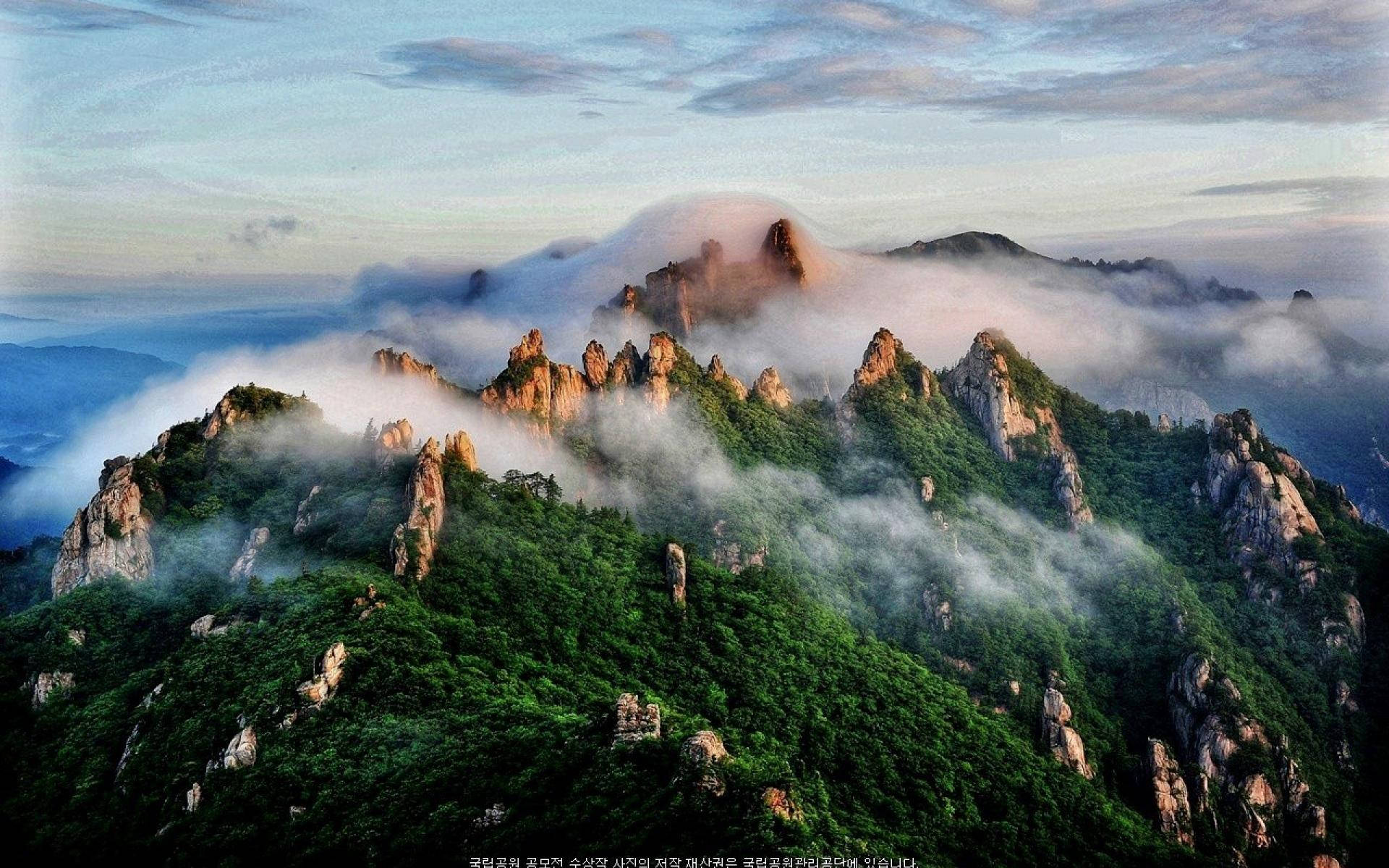 鋸齒狀的山頂在日出時從茂密綠色森林上方的霧雲中升起。 — 韓國 壁紙