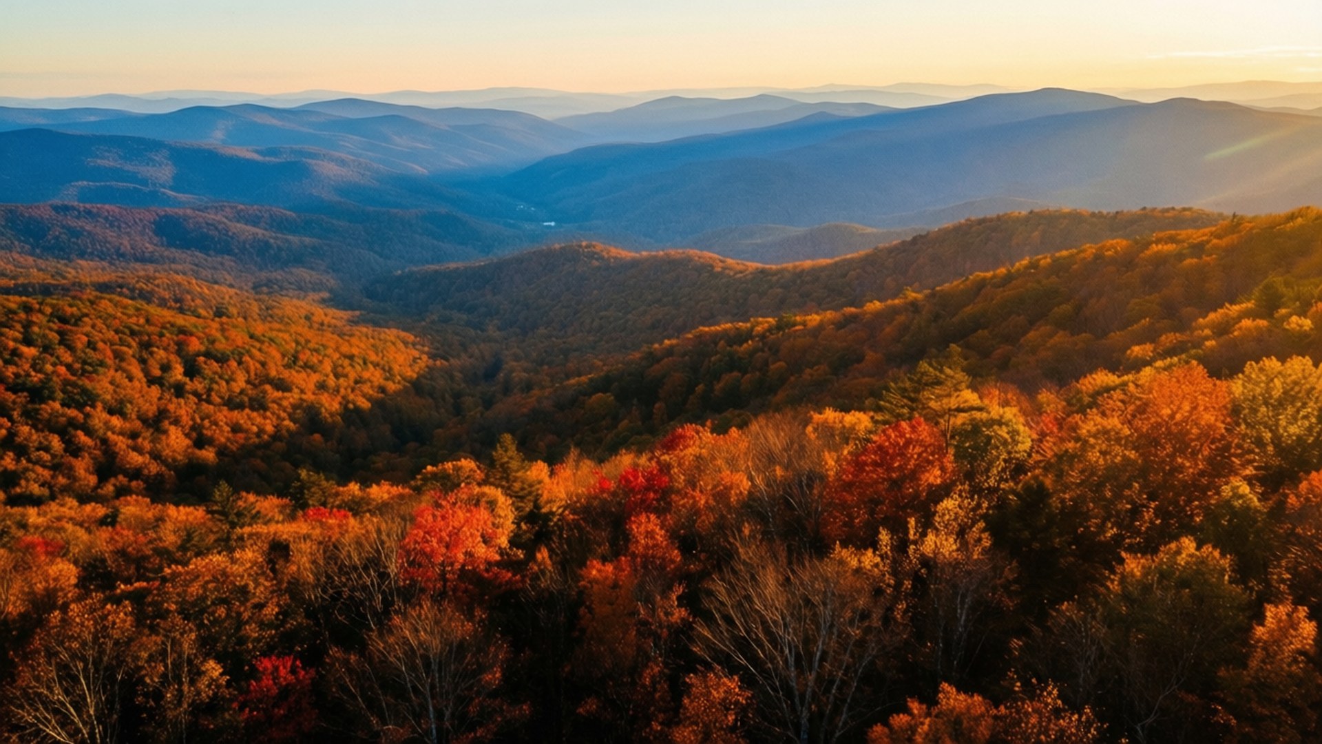 Autumn Splendor in Shenandoah 壁紙 — 陽光灑落在連綿起伏的山丘上，呈現出火紅的橙色和深紅色的秋葉，一直延伸到朦朧的藍色山脈。