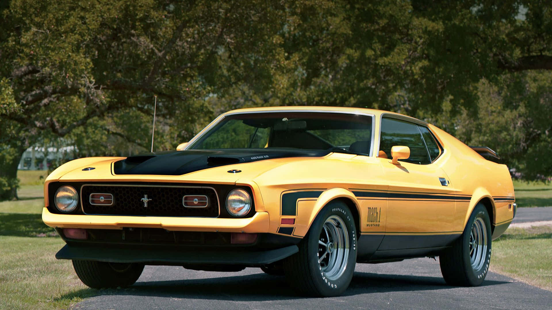 Ford Mustang Mach 1 桌布 壁紙 — 一輛鮮黃色經典福特野馬Mach 1，帶有黑色賽車條紋，停在樹蔭下的瀝青路上，光線明亮。
