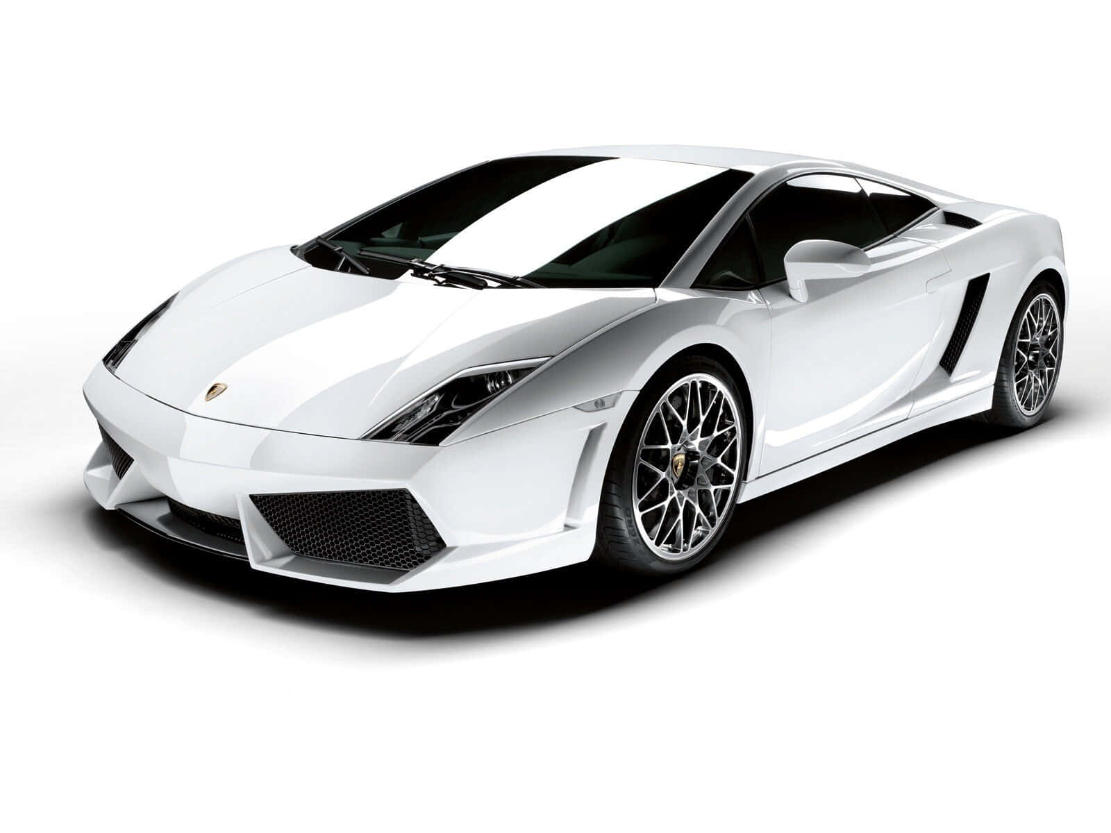 Lamborghini Gallardo 桌布 壁紙 — 一部純白色藍寶堅尼Gallardo跑車，帶有黑色飾邊和合金輪圈，擺放在純白色背景前。