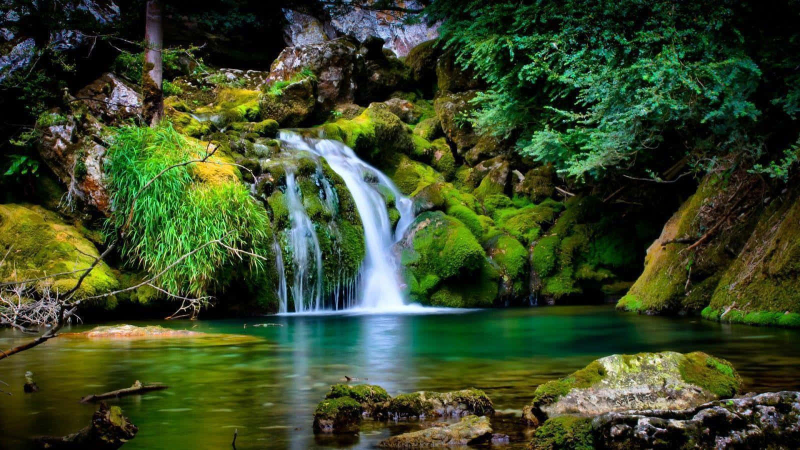 Cool Nature 桌布 壁紙 — 一道寧靜的瀑布流過長滿苔蘚的岩石，落入被茂密綠色森林環繞的碧綠水池中。