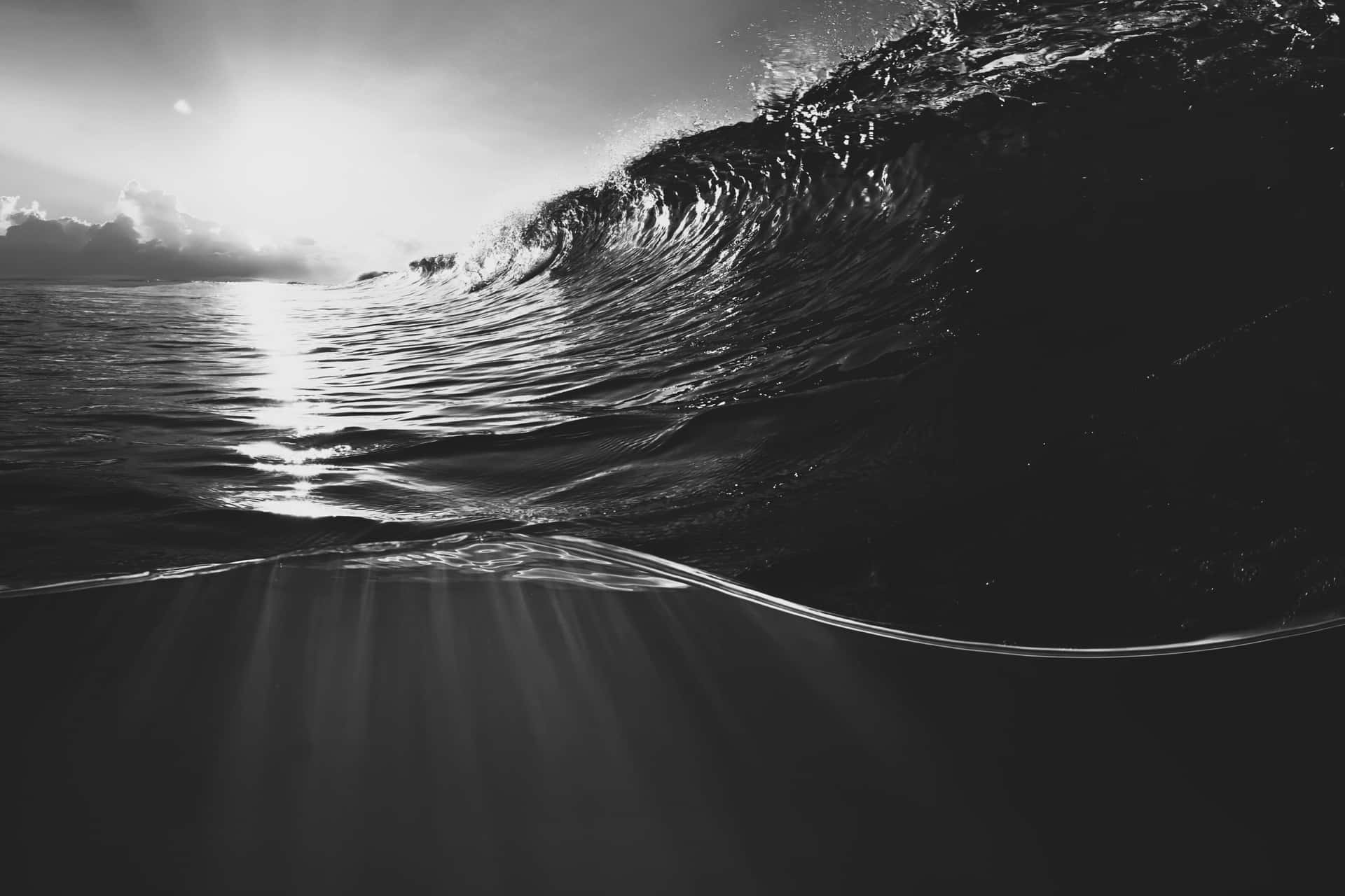  壁紙 — 一道戲劇性的黑白波浪在頭頂捲曲，陽光穿透下方的水。