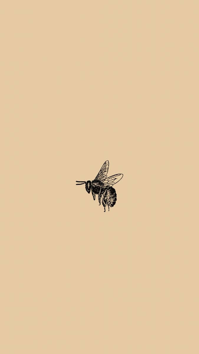 Vintage Bee Aesthetic 桌布 壁紙 — 一幅極簡風格的黑色墨水蜜蜂插圖，獨自漂浮在純米色背景上。