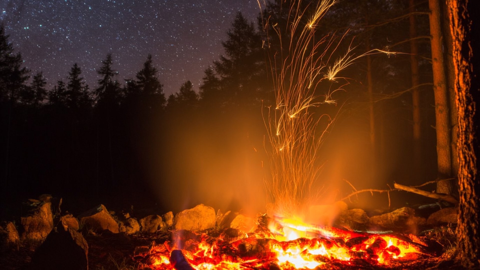 Campfire Glow 壁紙 — 一個充滿活力的營火在漆黑的松樹環繞下，向繁星點點的夜空噴射出金色火花。