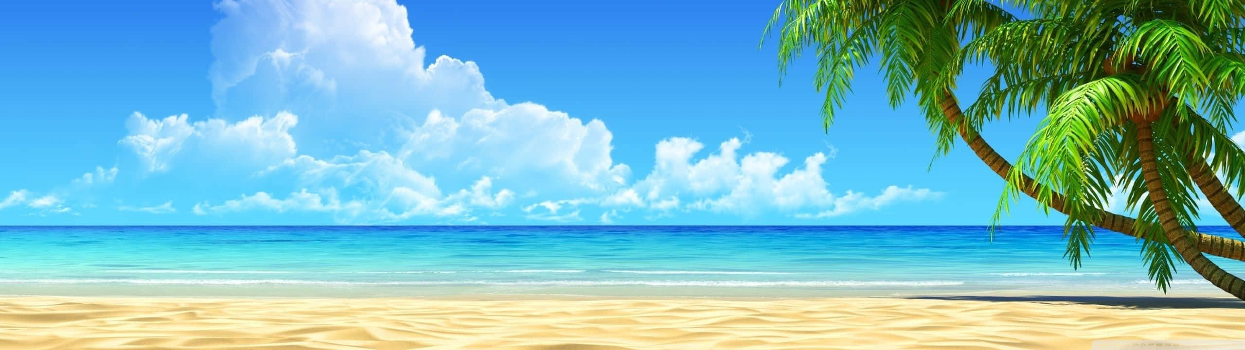 在清澈的藍天下，熱帶海灘上有棕櫚樹和碧綠的海洋。 — 海洋 壁紙