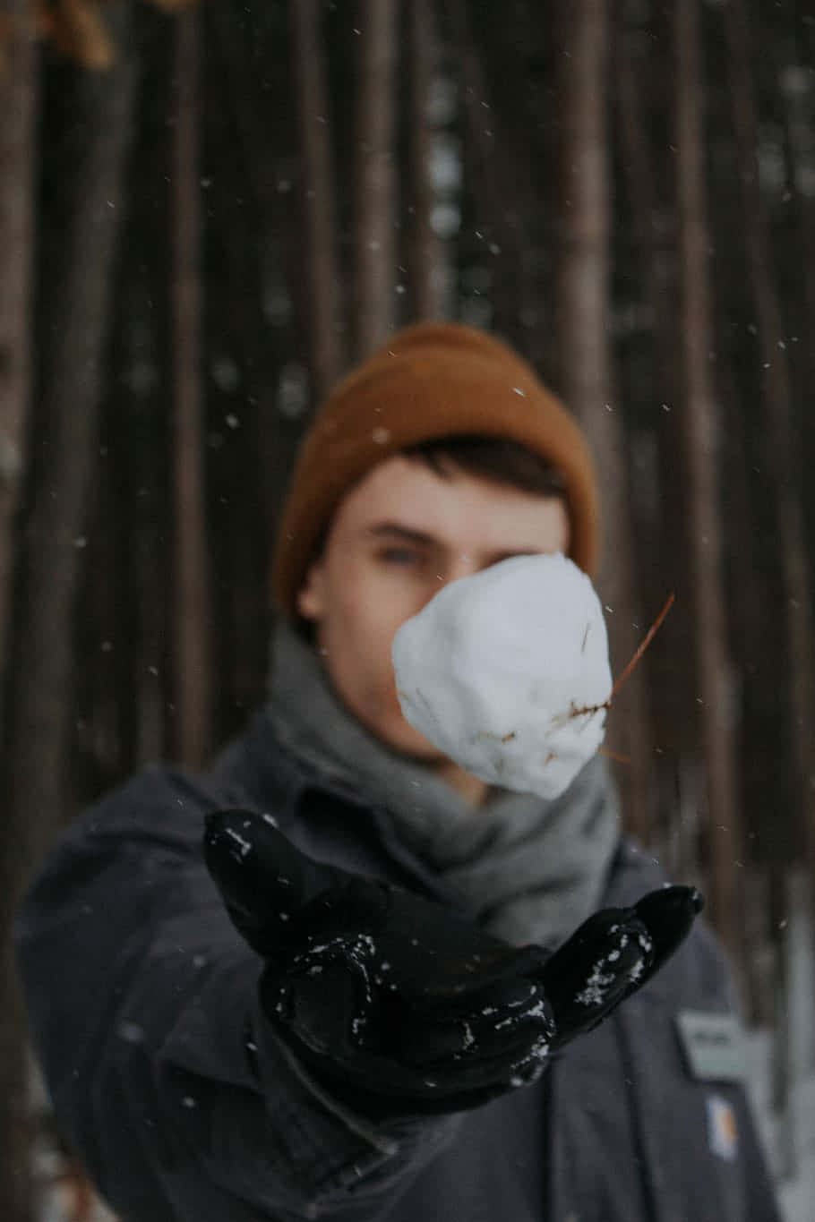  壁紙 — 一個穿著冬季裝備的人，在雪地森林背景下，向鏡頭舉起一個雪球。