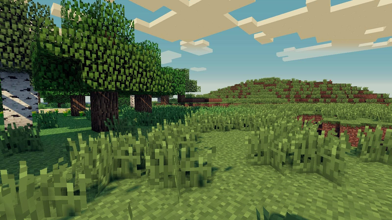 像素化的Minecraft森林，有樹木和草地，天空是方塊狀。 — 我的世界 壁紙